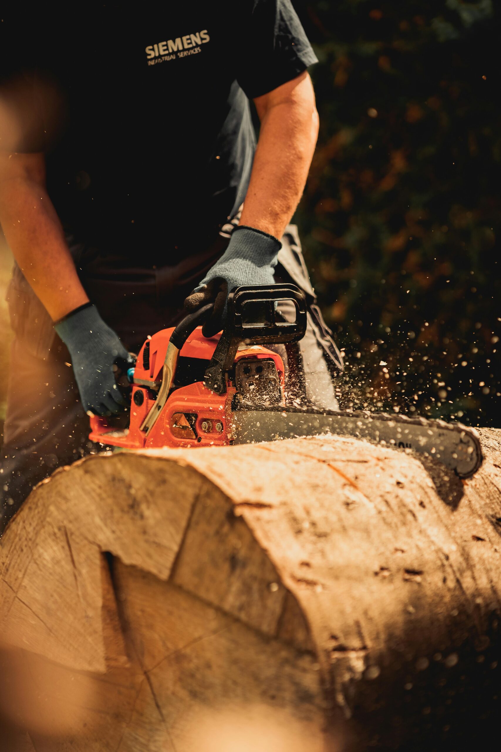 A man using a chainsaw to cut a log outdoors, wearing gloves for safety.